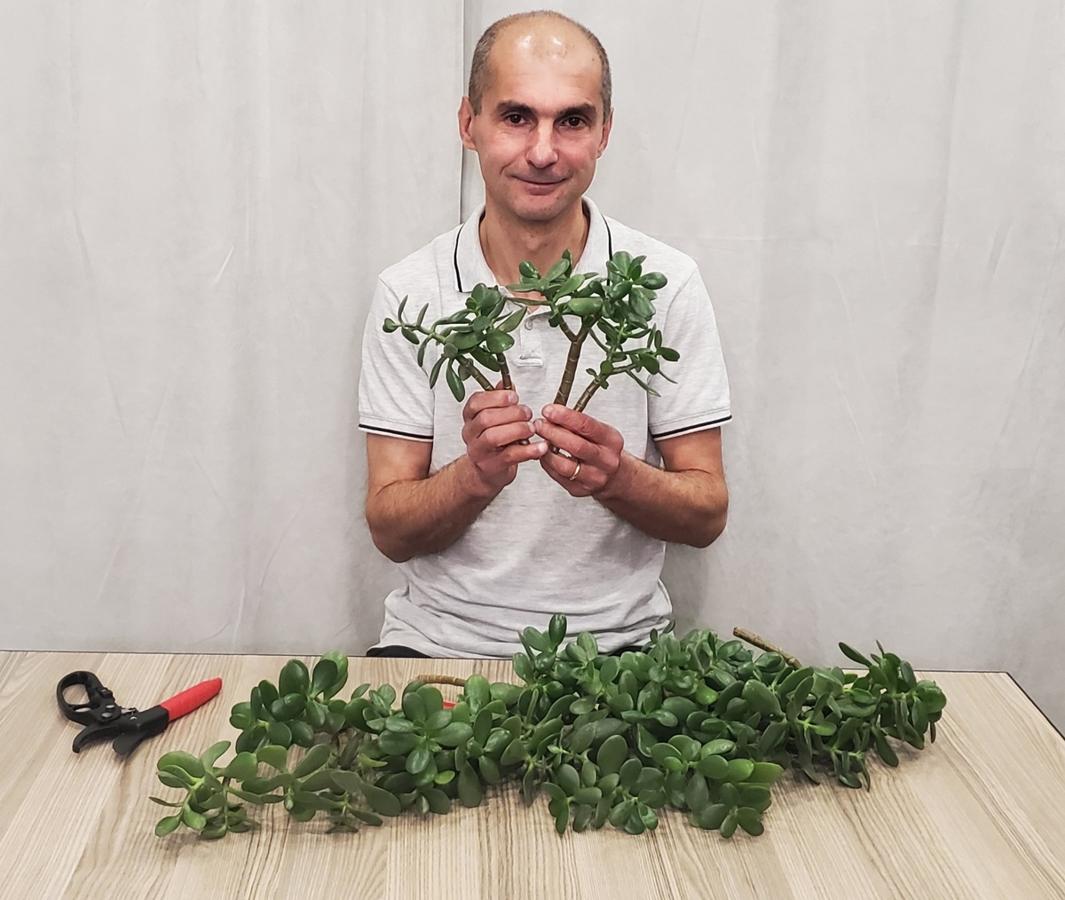 Вот так должен выглядеть качественный посадочный материал!