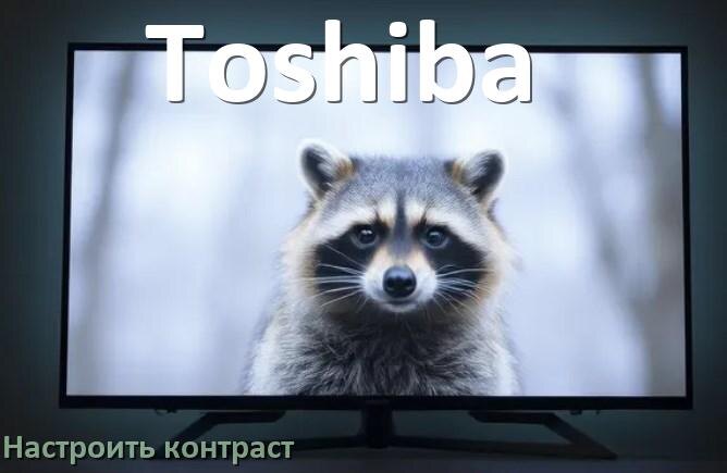 
Как на телевизоре Toshiba настроить контрастность экрана уменьшить и прибавить