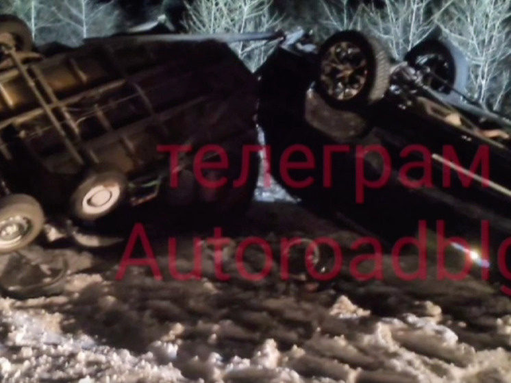     Фото: t.me/autoroadblg
