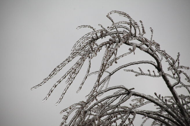 В ближайшие три дня непогода разгуляется в Краснодарском крае