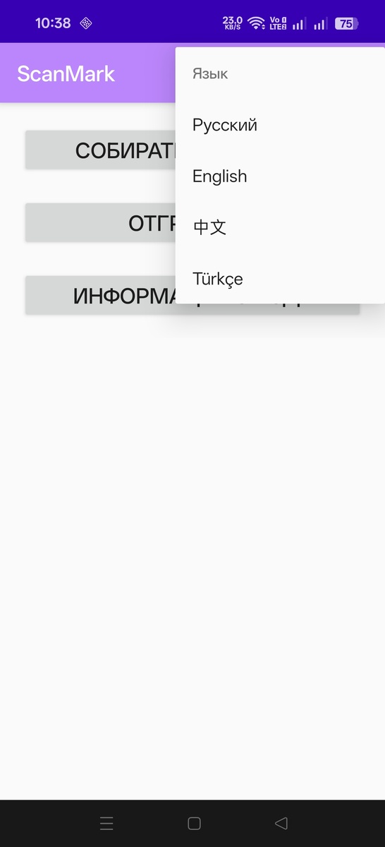 Меню выбора языка интерфейса на главном экране