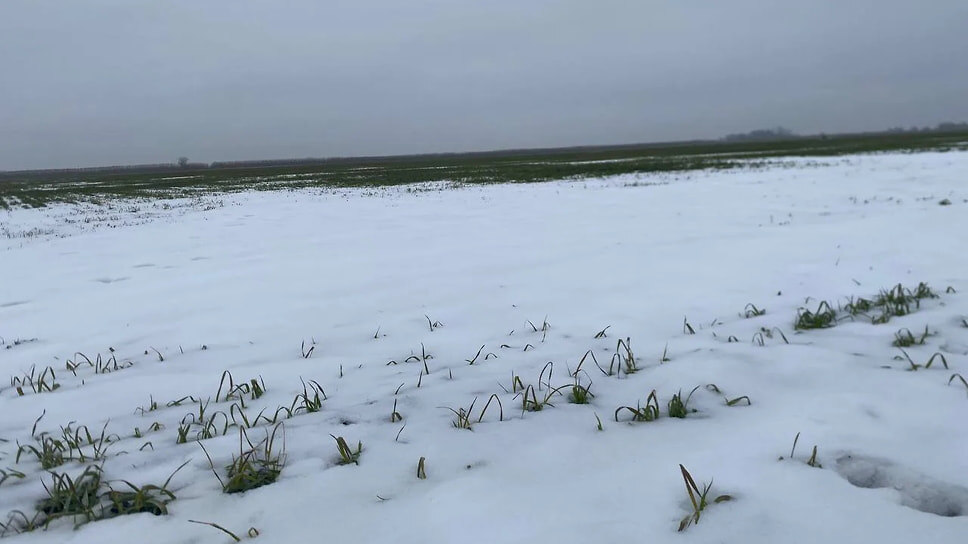 Фото: пресс-служба министерства сельского хозяйства Ставропольского края