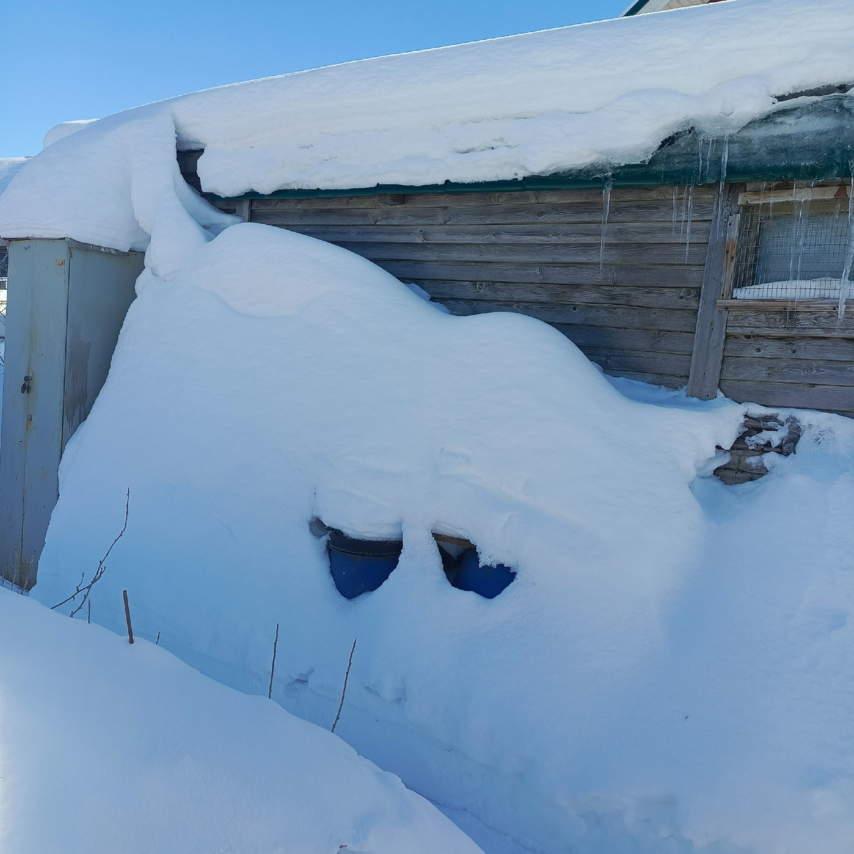 Наш снежный курятник сзади. 