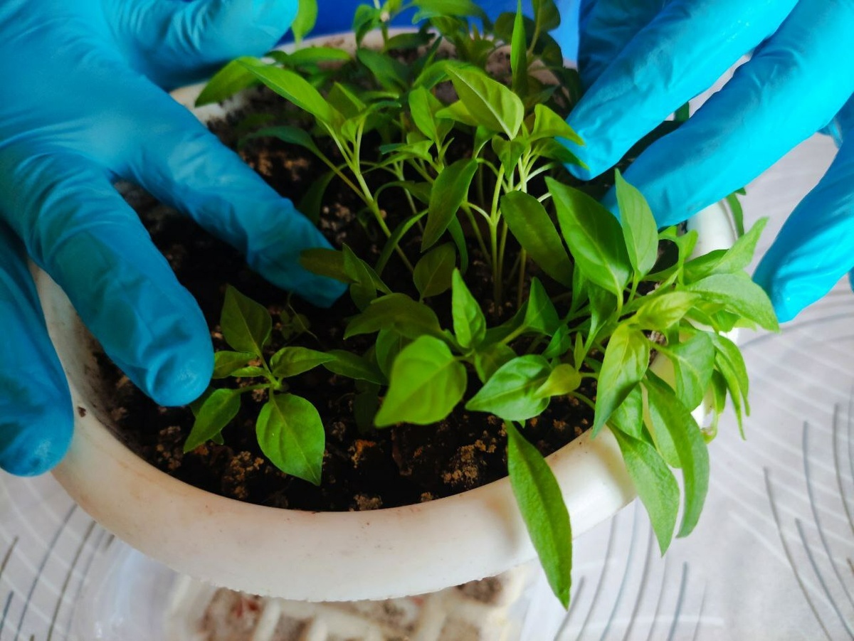     Февралдә беҙҙе ниндәй эштәр көтә?