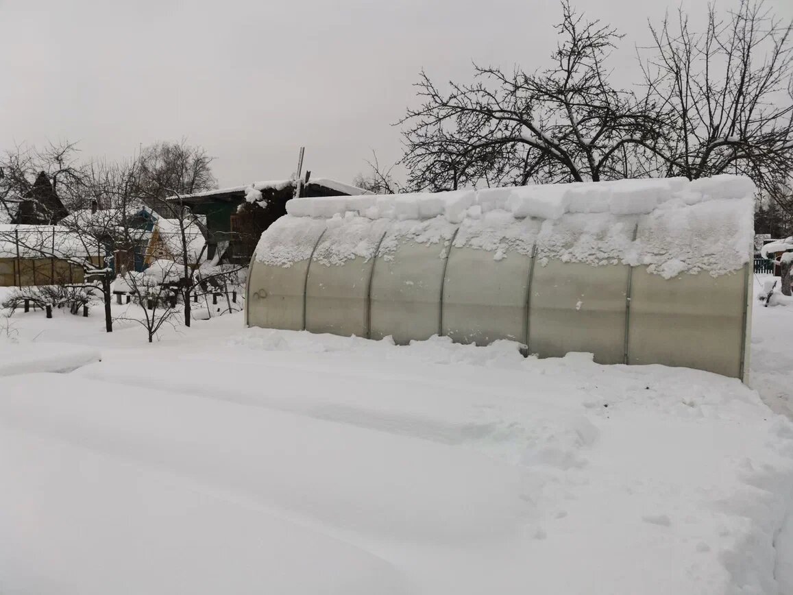    Фото: Татьяна Дзюба