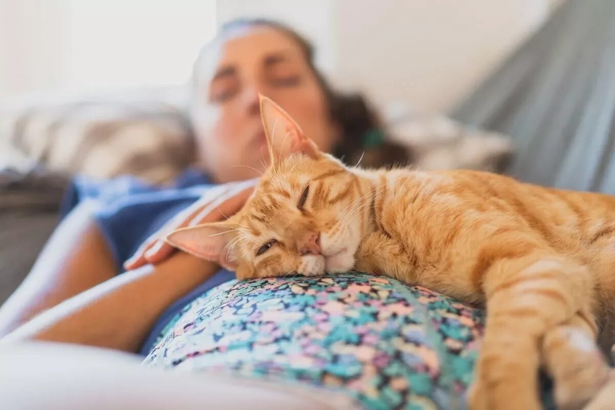 Фото с сайта: https://www.themirror.com/news/health/psychologist-explains-eight-habits-women-1076798?int_source=amp_continue_reading&int_medium=amp&int_campaign=continue_reading_button