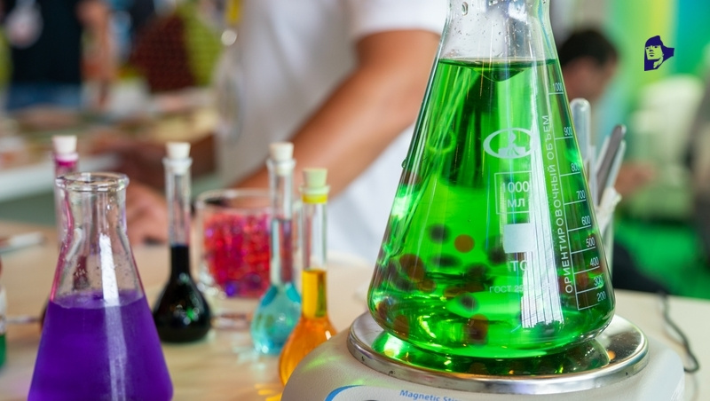      Фото: ИА «Победа26»