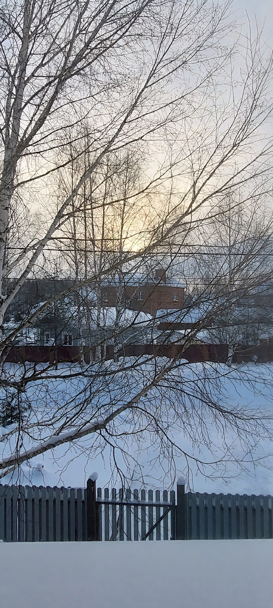 Февральское солнце