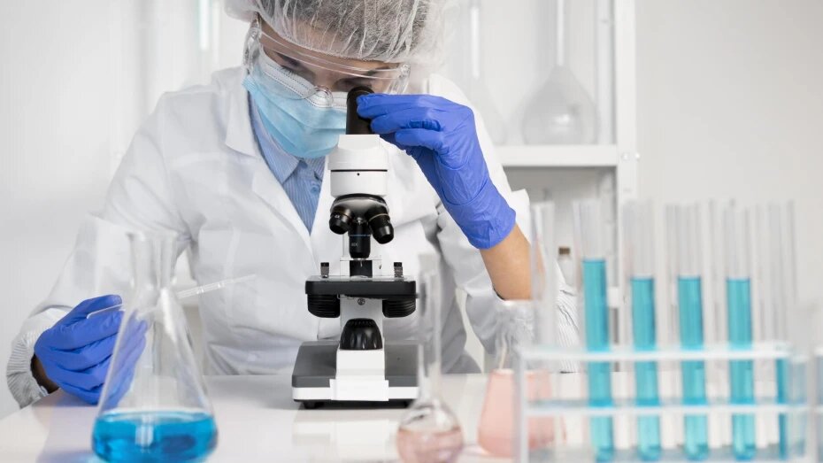    Автор фото: pxhere.com