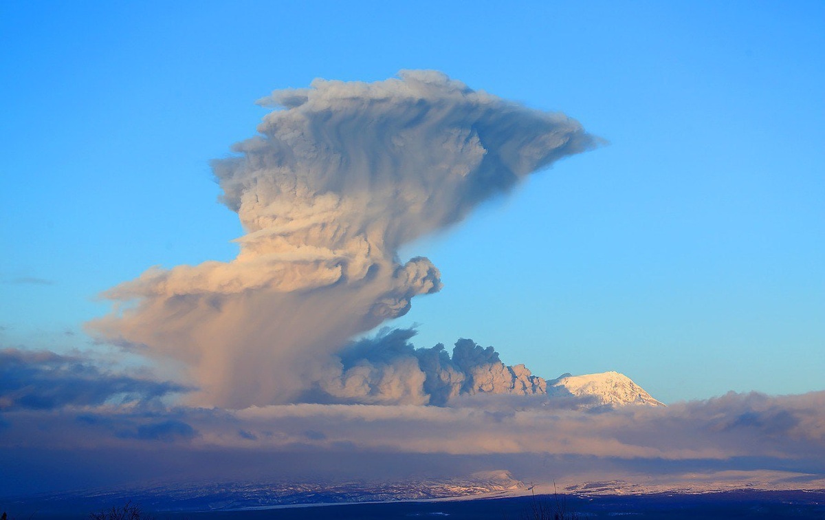    Пепел на высоту почти 12 километров выбросил вулкан Шивелуч на Камчатке
