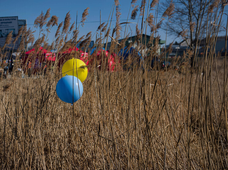     Изображение: Attila Husejnow / Keystone Press Agency / Global Look Press