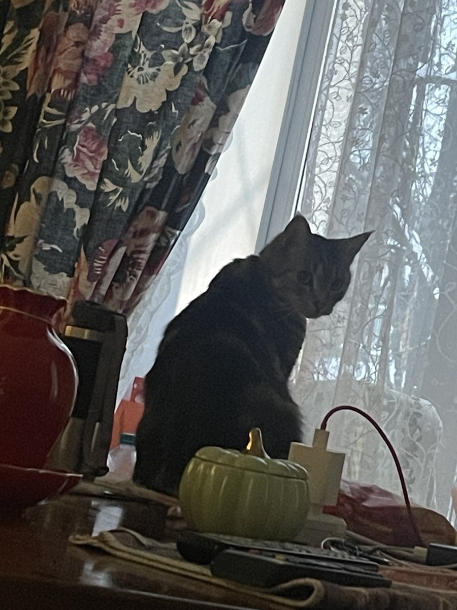 Обиженное создание.