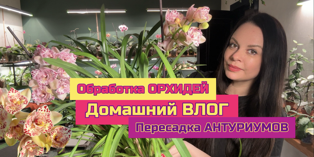 Влог для цветоголиков 😅