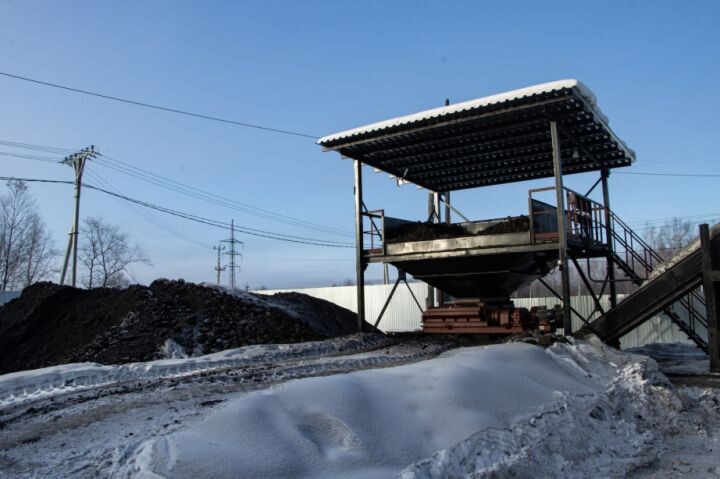    Фото:Ирина Фастовец / khabkrai.ru