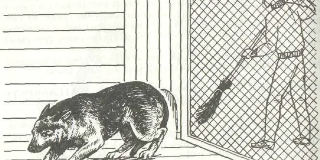 Пассивно - оборонительная реакция у собак