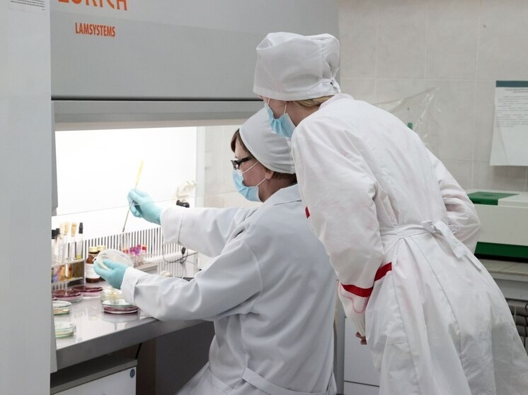     Фото: Telegram-канал Владимира Константинова