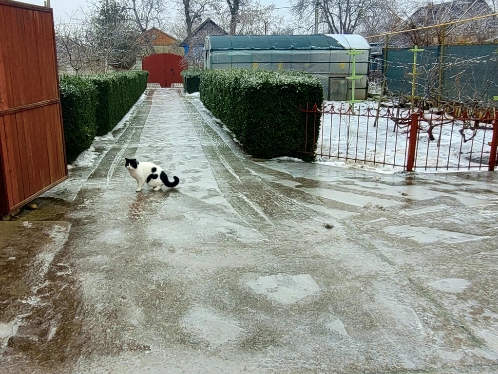 Даже Макс постоянно делает растяжку на льду
