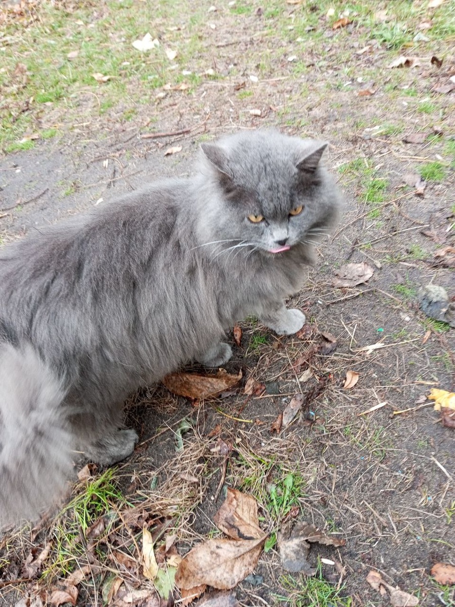 Это осеннее фото. Сейчас наш Жорес поширше будет)