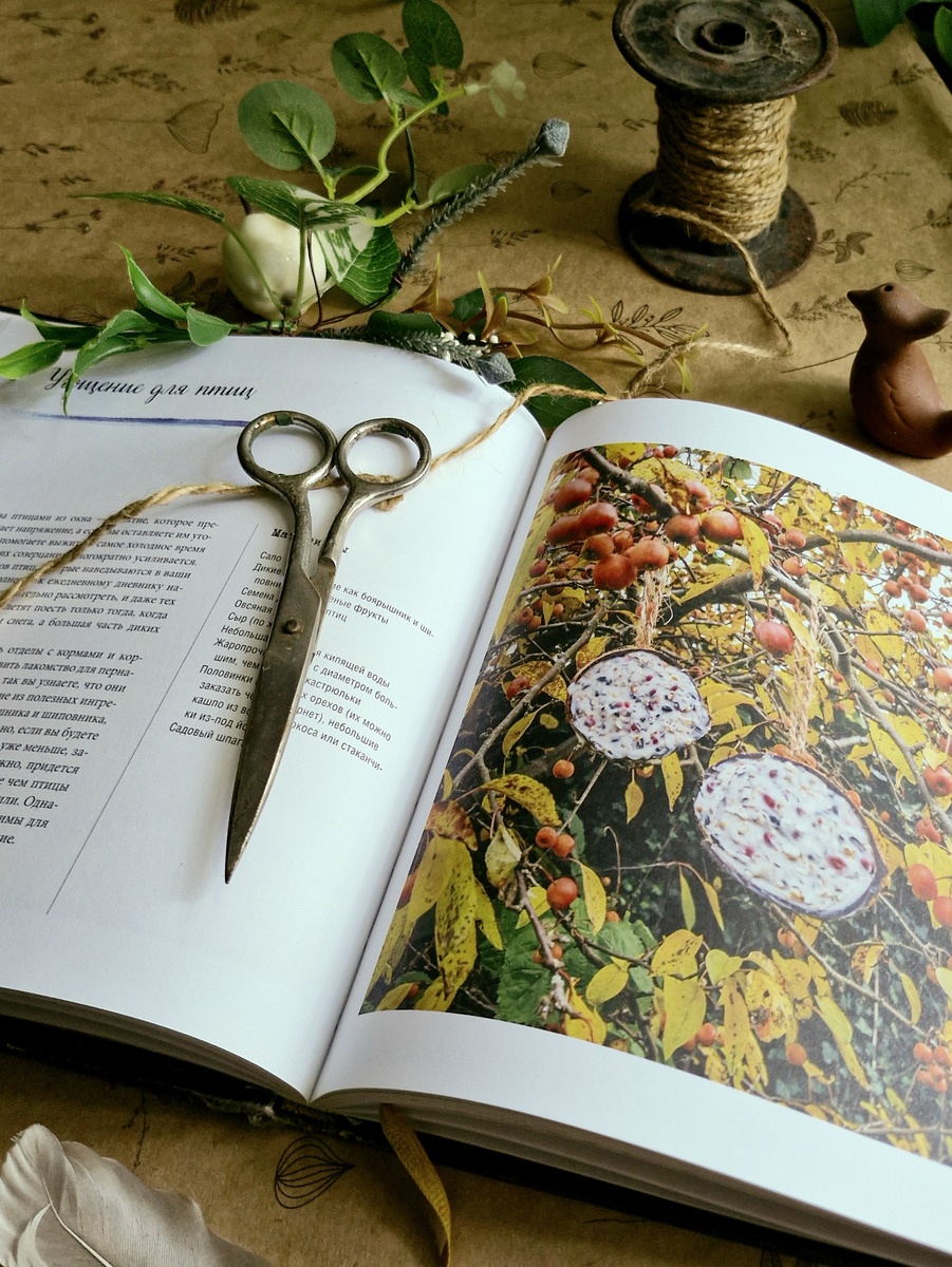 Фото автора