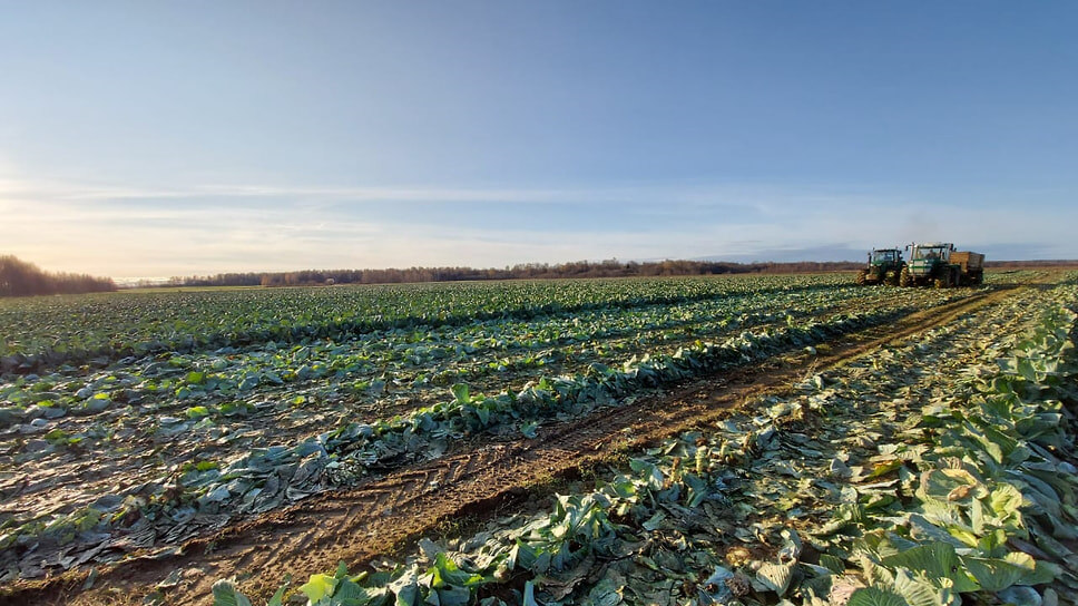 Фото: Пресс-служба правительства Ярославской области