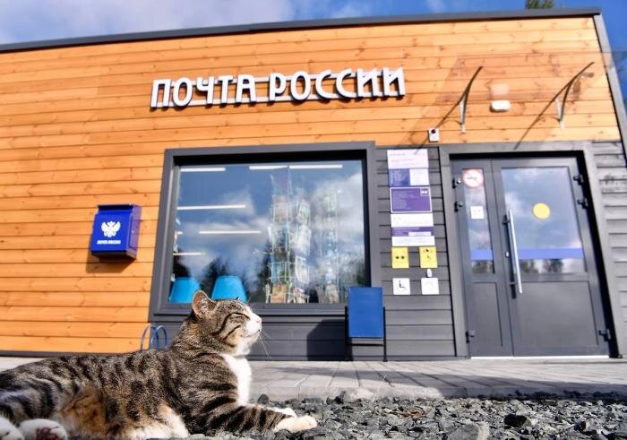 Обложка © Telegram / Почта России