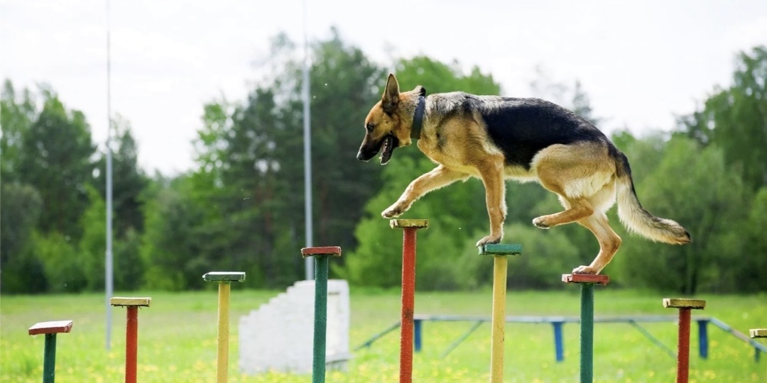 Преодоление полосы препятствий