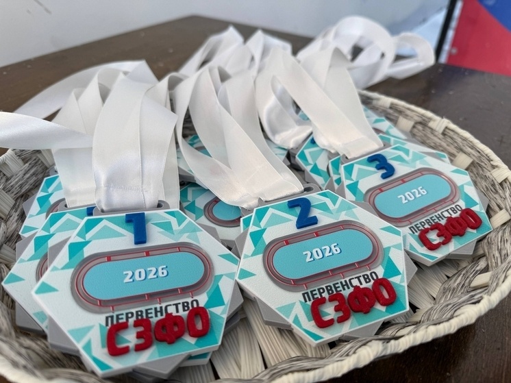     Фото: Администрация города Оленегорска