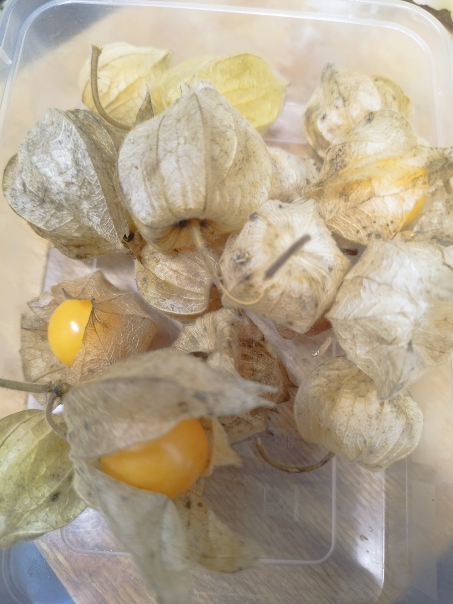 Это то, что осталось. Внучка очень любит эти плодики. И мне нравится, что они очень лежкие! 