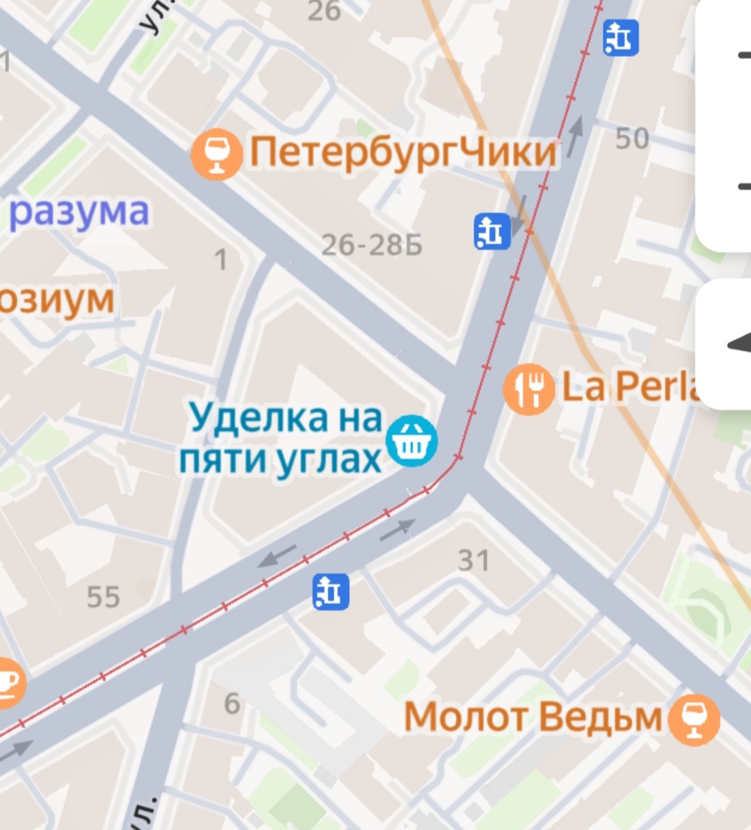Ямской рынок на карте: улица Марата с красной линией трамвайного движения, пересекает её ломаная линия Разъезжей улицы и узенькая улочка в основании "треугольника"  - ул. Боровая