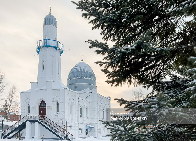    Фото: Дмитрий Кандинский / vtomske.ru