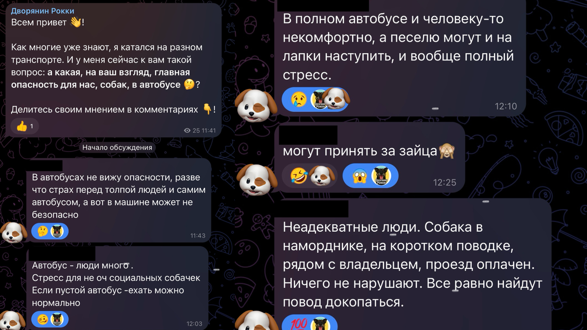 Скрин из моего ТГ-канала