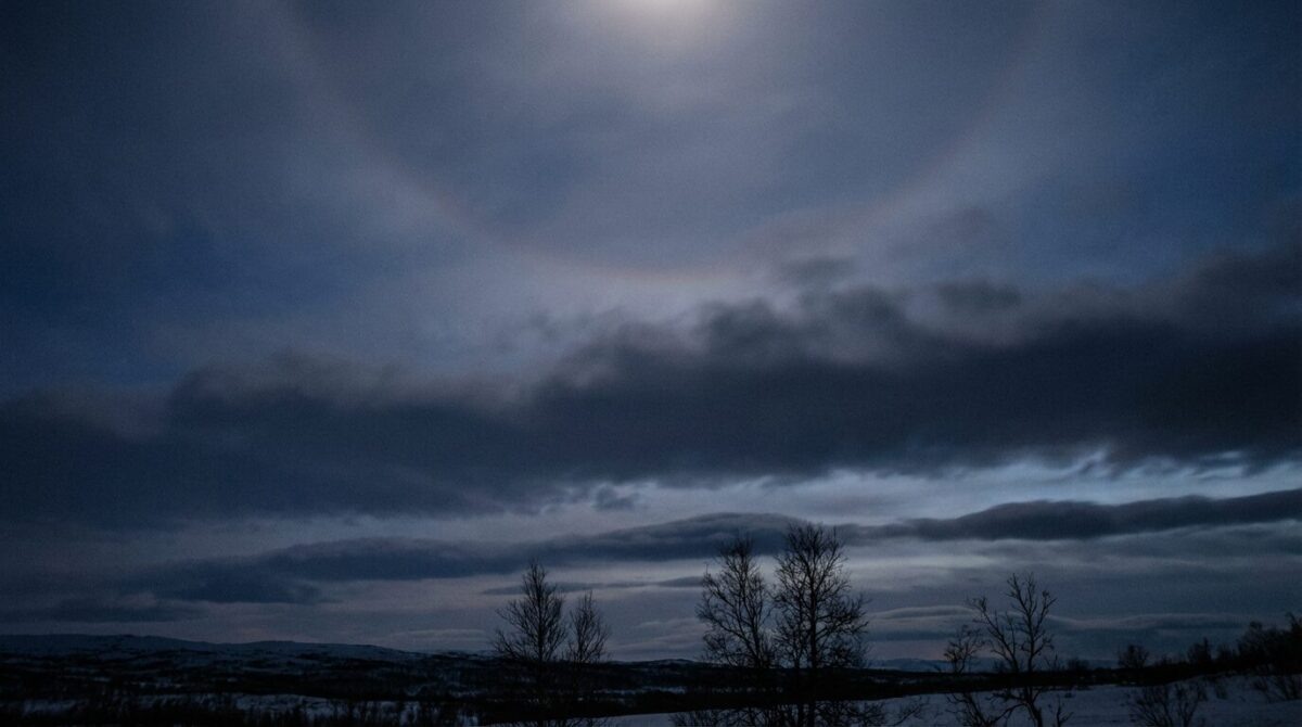Гороскоп для всех знаков зодиака / Фото: Gemini 