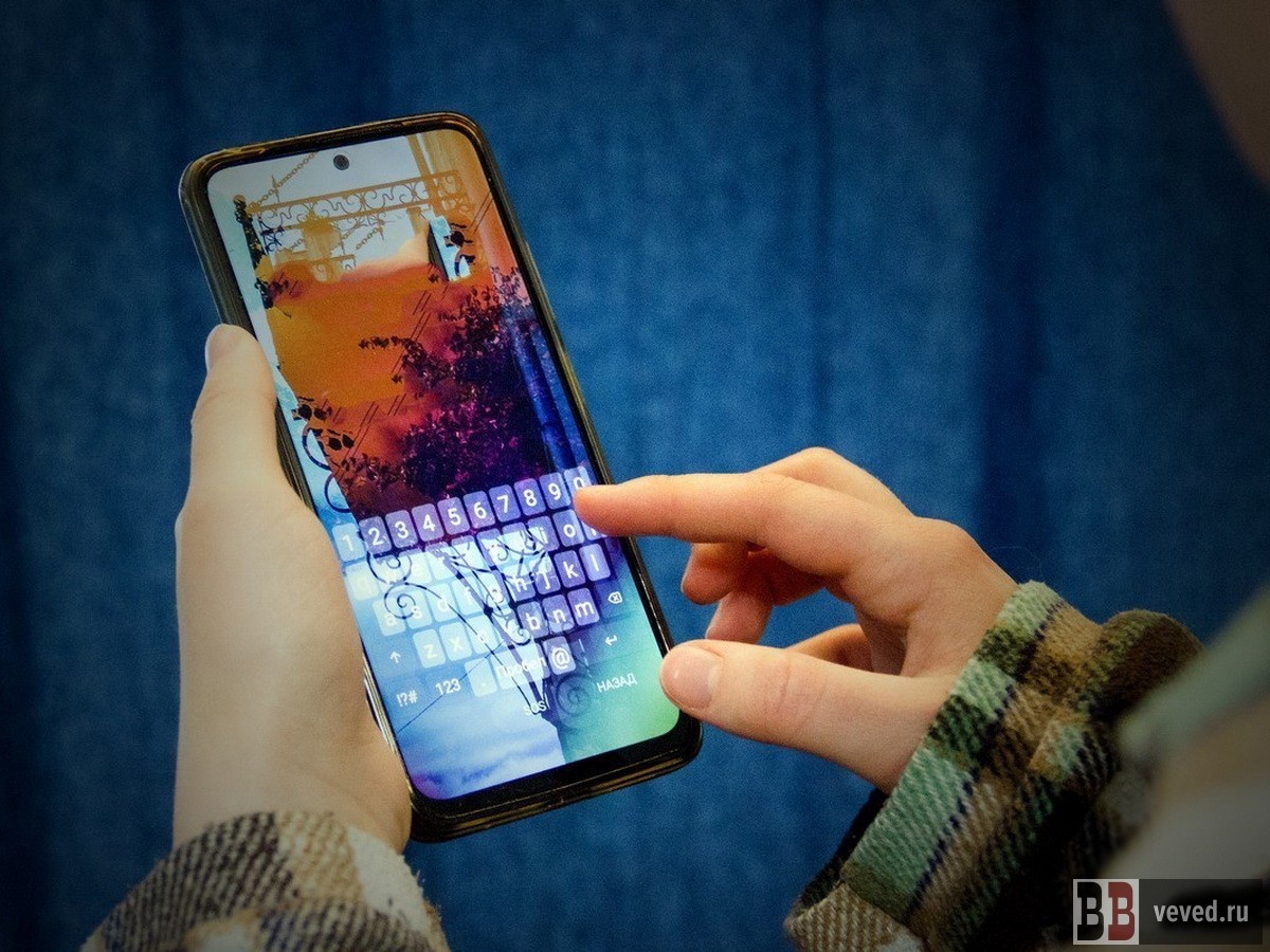     Фото: Андрей Гоголев / Вечерние ведомости