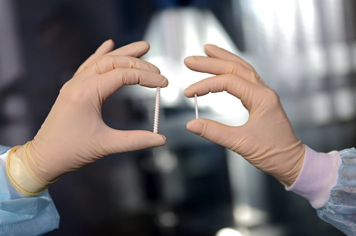    photo_2026-02-08 12.05.04