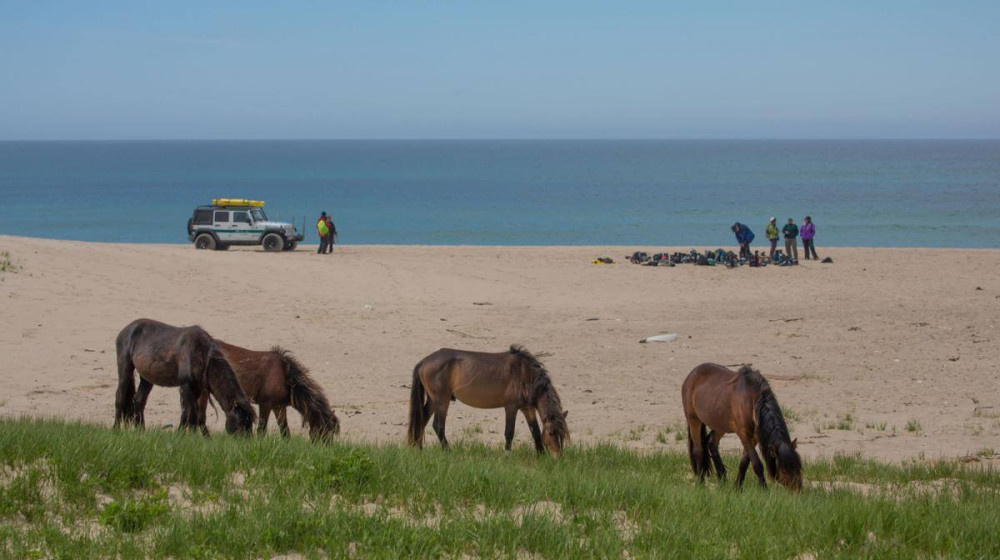    Остров сейбл навсегда останется тайной, которую боятся раскрыть