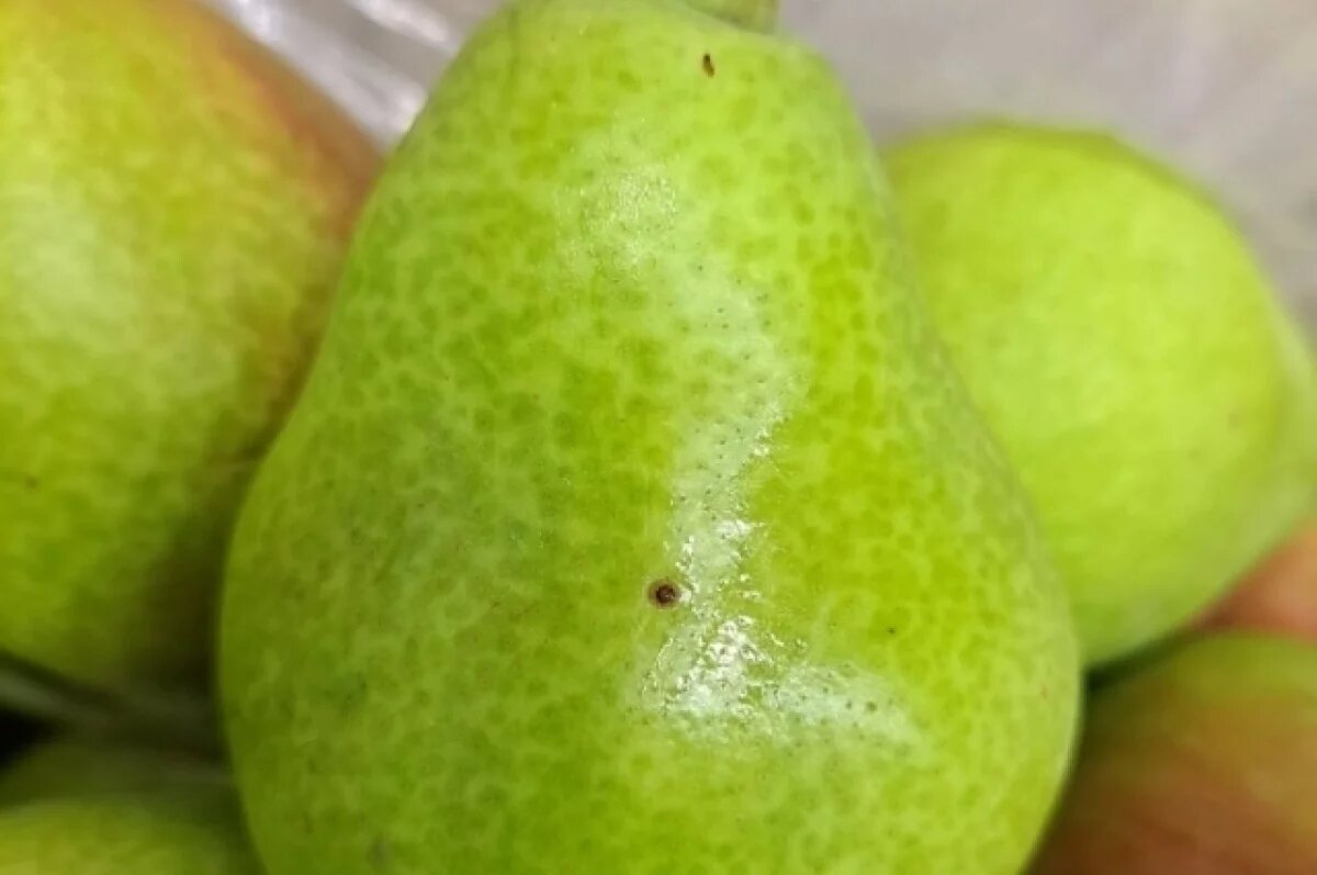    Почти 41 тонна импортных груш уничтожена в Псковской области