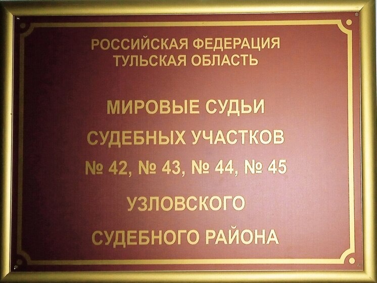     Фото: пресс-служба УСД Тульской области
