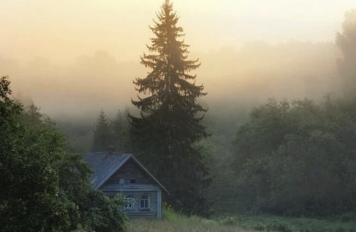 Люди всегда с уважением относились к Лешему. Называли его Лесной Хозяин и строго соблюдали правила, находясь в лесу