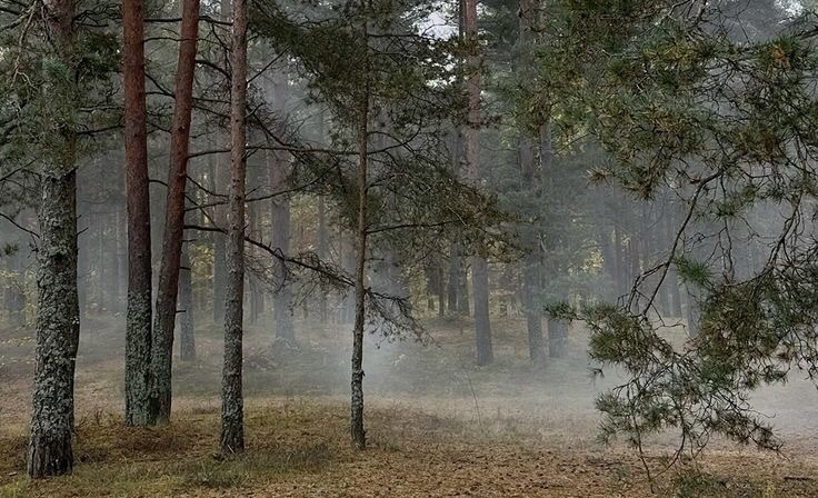 Леший может не просто водить по лесу, но даже похищать людей 