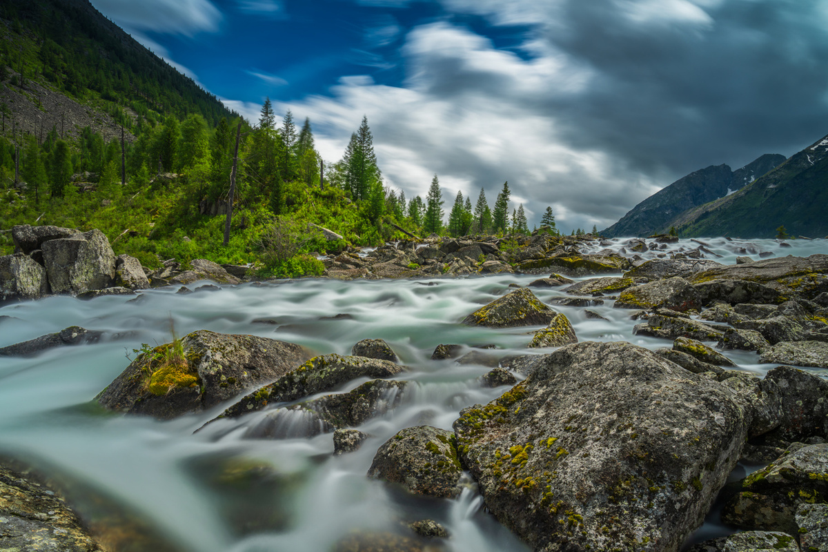 Parshina Olga/istock