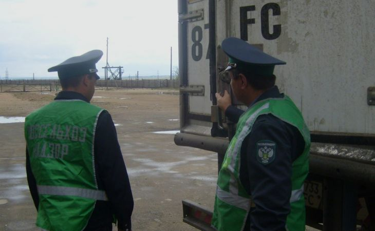 Фото: Россельхознадзор