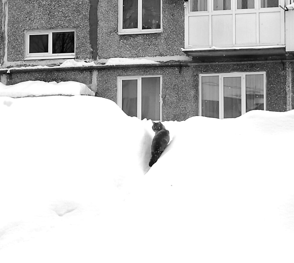    Фото: v-kurse.ru Ольга Гилёва