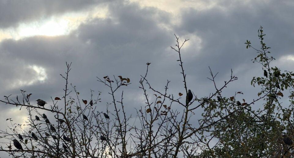    REGIONS/Илья Попов