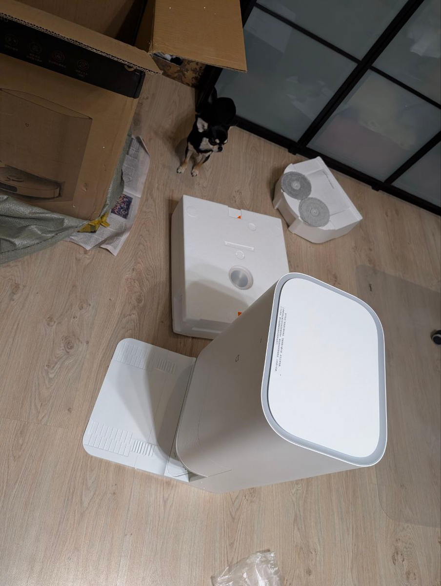 Новая игрушка в нашем доме