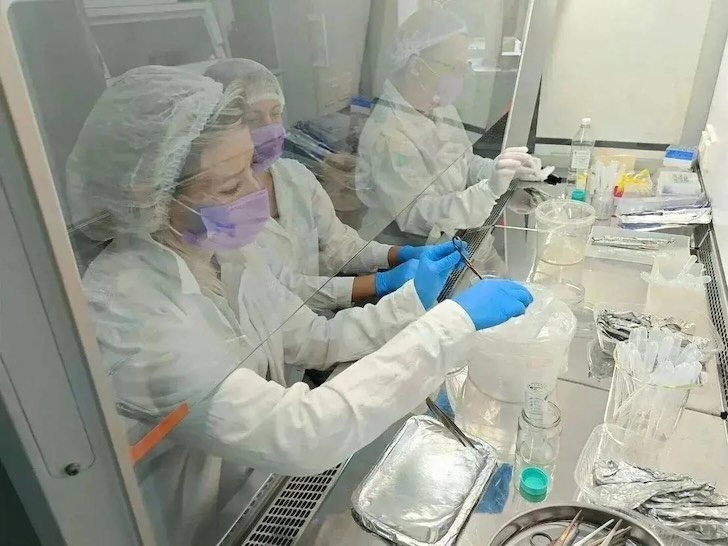    Фото: тг-канал Радия Хабирова