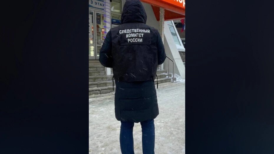    Автор фото: t.me/susk36vrn