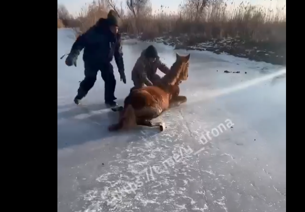    Толкали, уповая только на собственные силы и упорство.