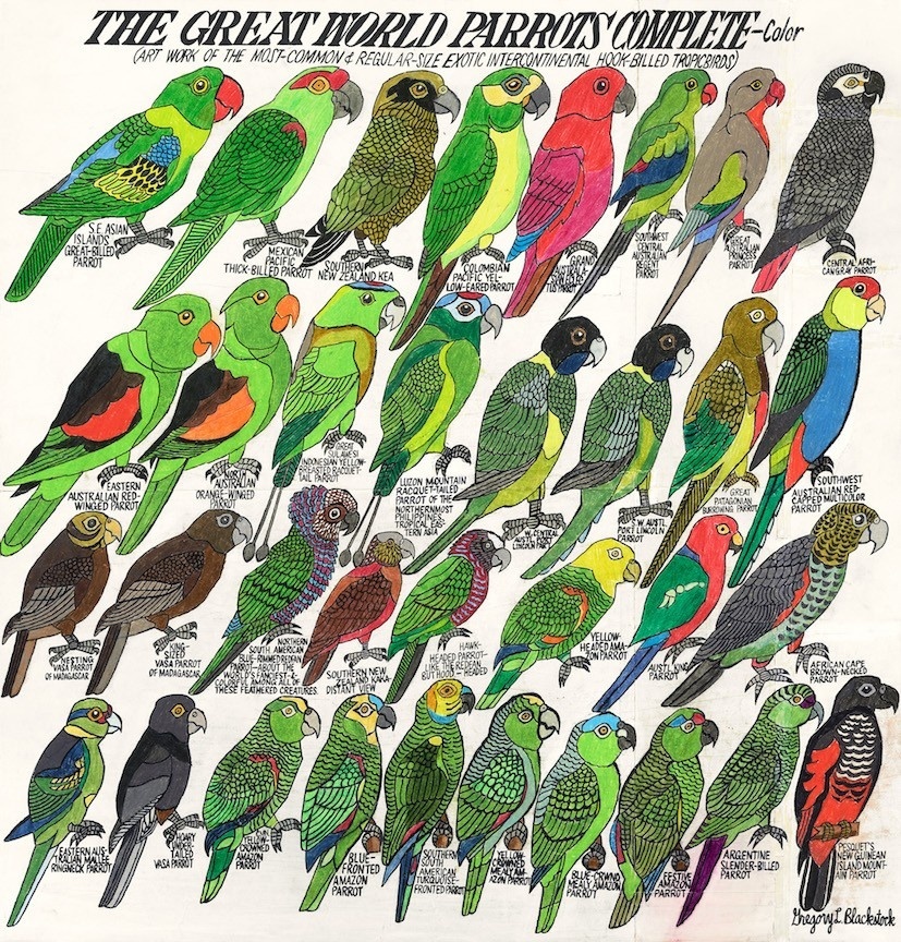 Грегори Блэксток. Мир попугаев.