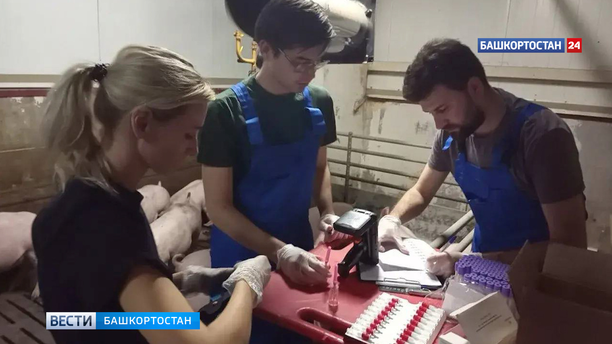    Радий Хабиров: ученые Башкортостана достигают успехов в передовых исследованиях