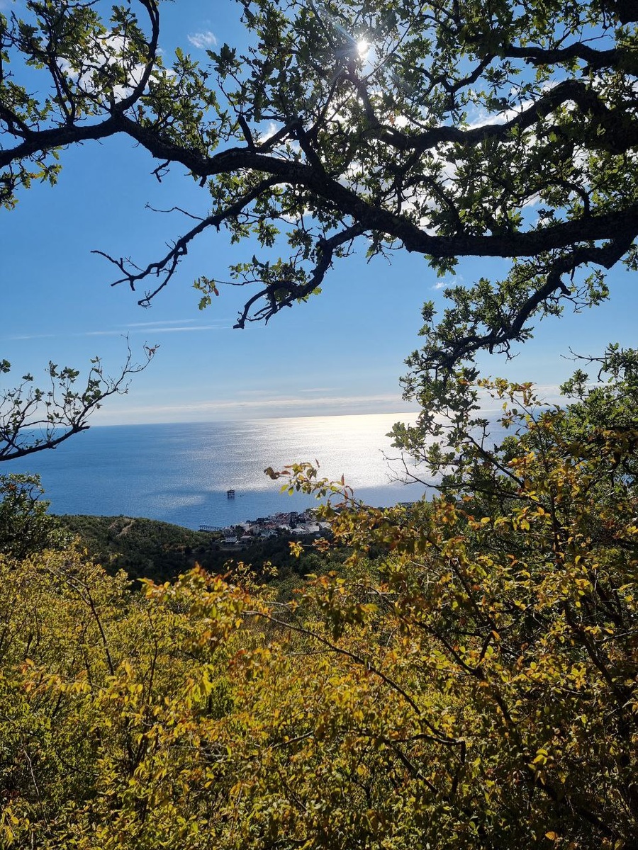 Крымская осень 2025